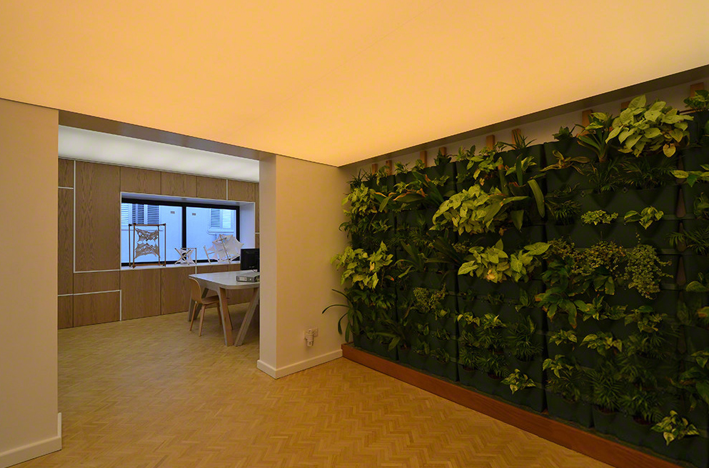 Светопрозрачные натяжные потолки-26