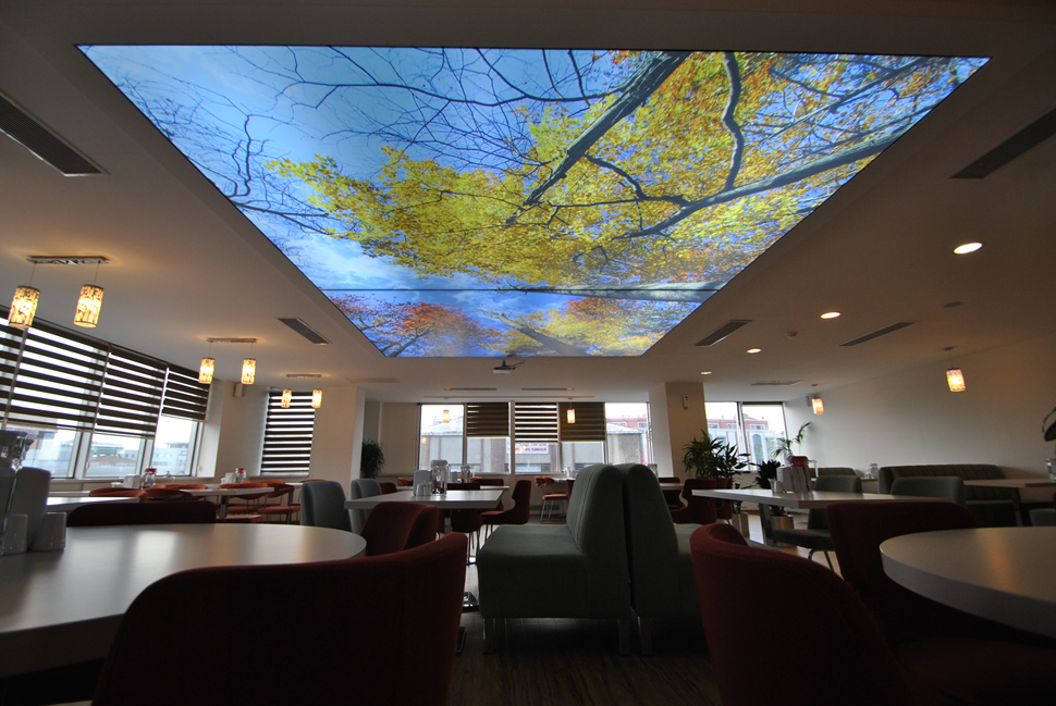 Светопрозрачные натяжные потолки-63