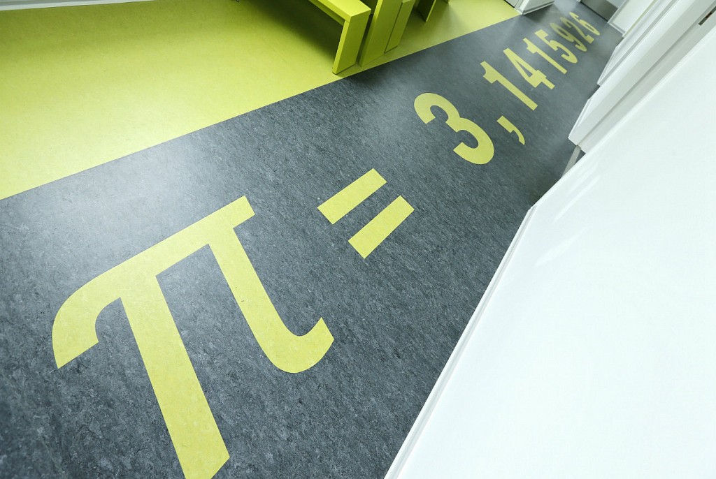 Линолеум коммерческий-31