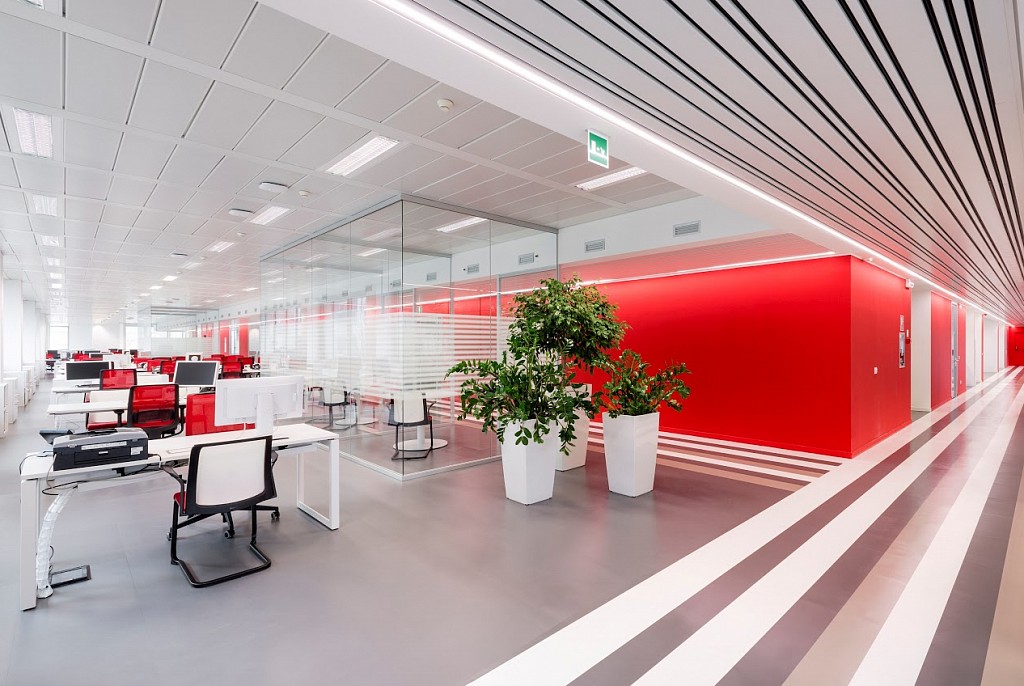 Линолеум коммерческий-55