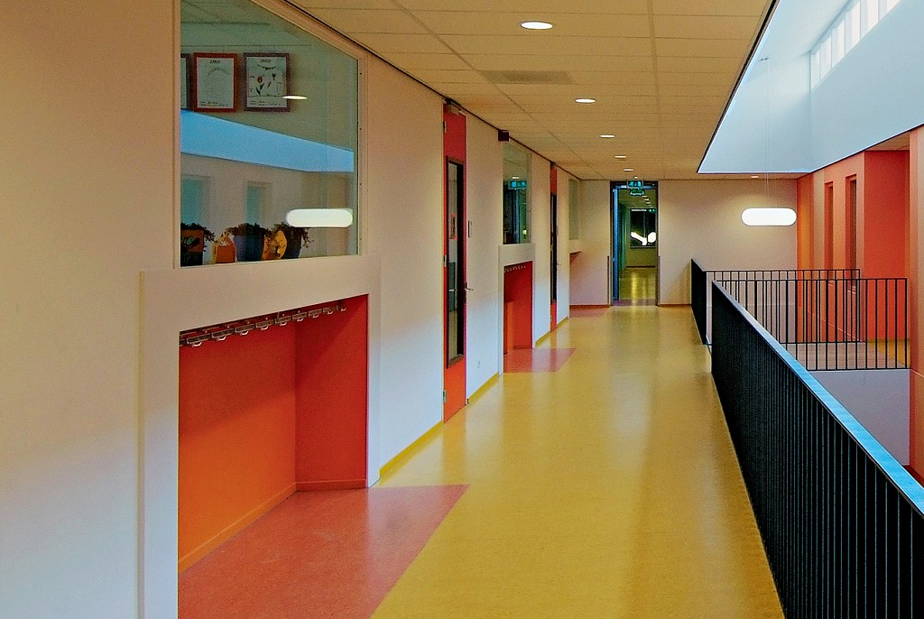 Линолеум коммерческий-13