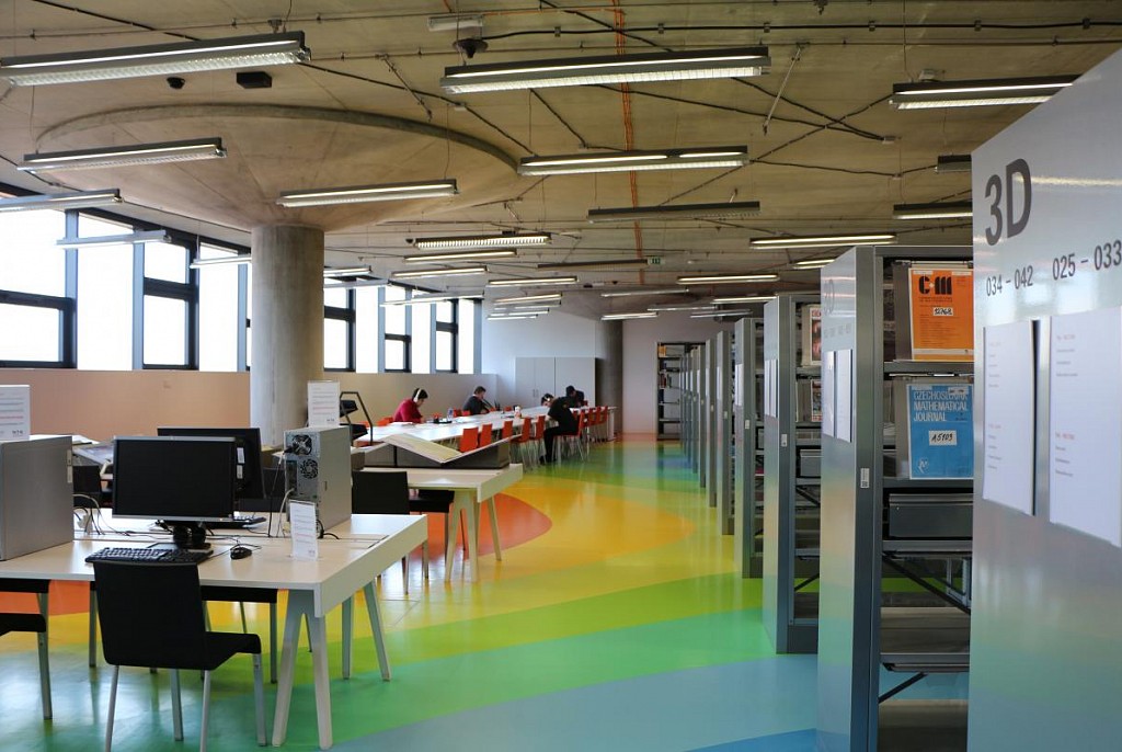 Линолеум коммерческий-63