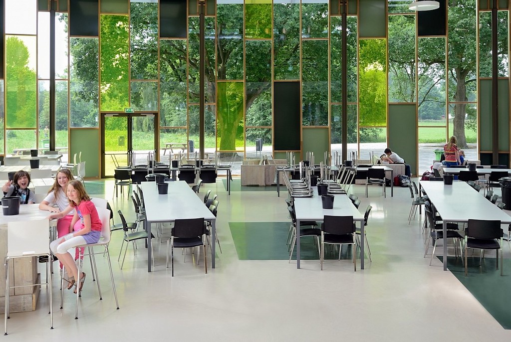 Линолеум коммерческий-22