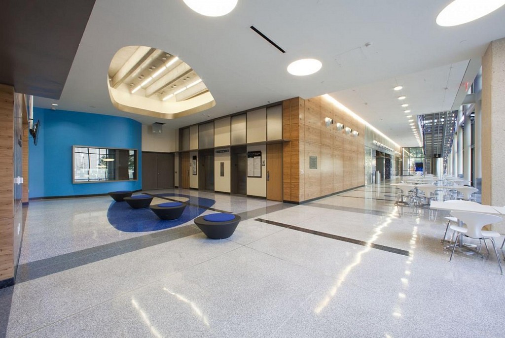 Линолеум коммерческий-75