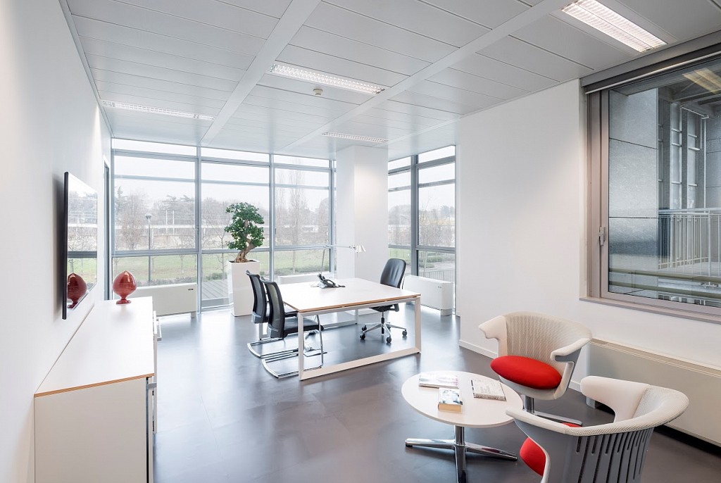 Линолеум коммерческий-56